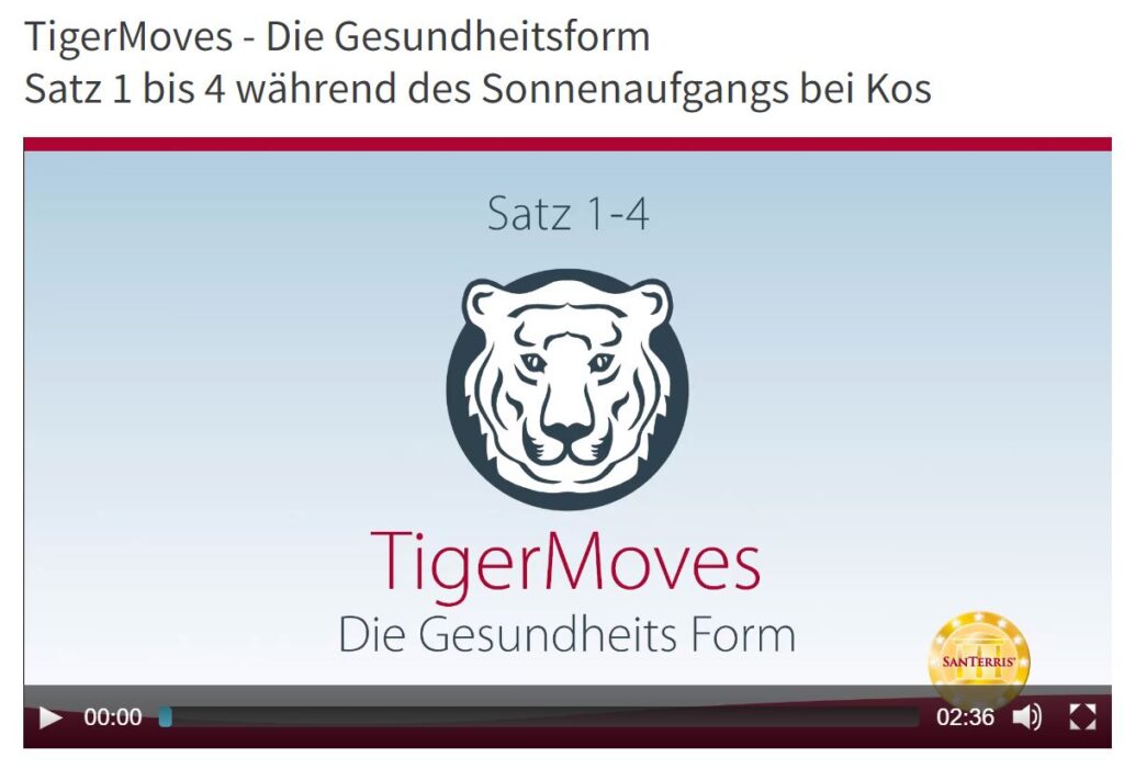 Video TigerMoves 1-4 von Abnehmen mit SanTerris