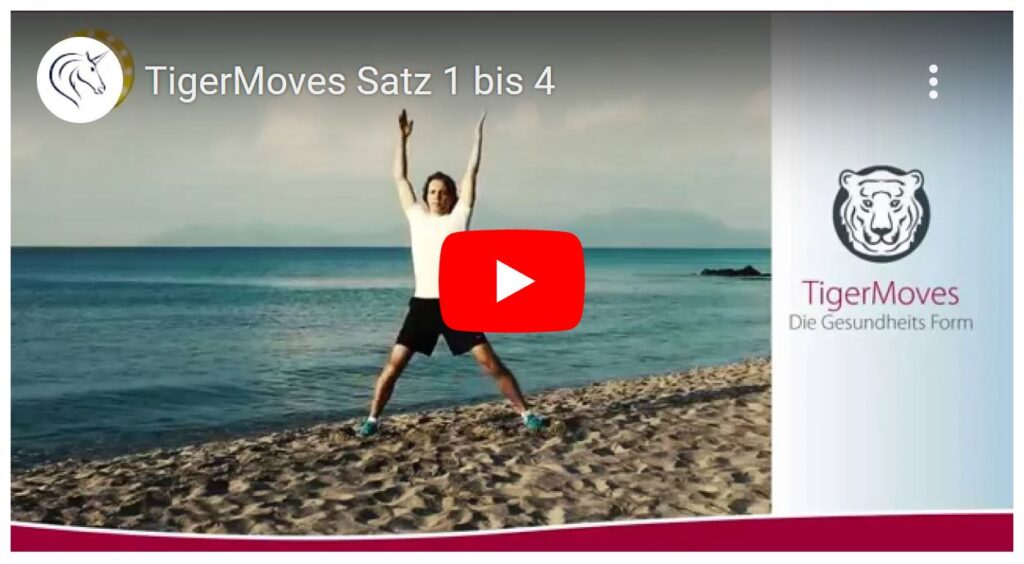 Video TigerMoves 1-4 Abnehmen mit SanTerris